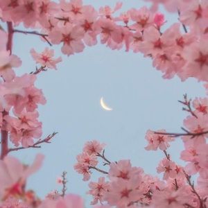 Meet your Posher, Lucy